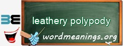 WordMeaning blackboard for leathery polypody